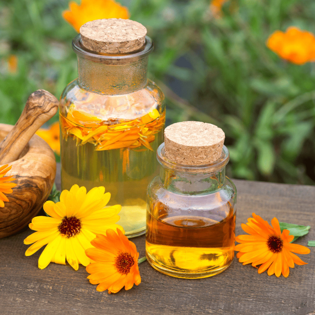 marigold oil, a natural ingredient for a lip balm