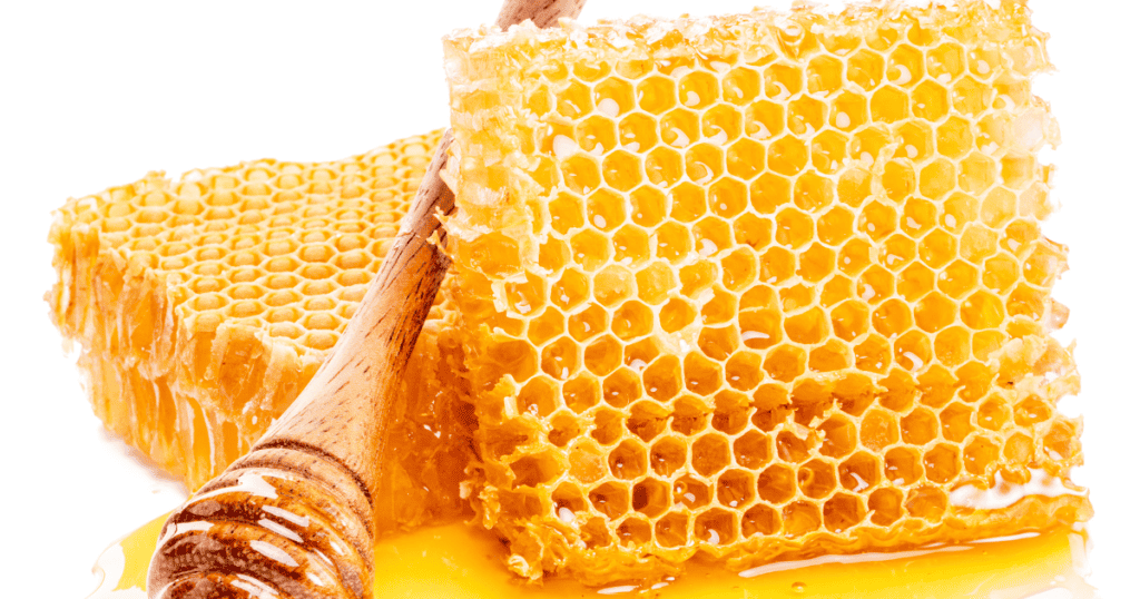 Honeycomb on white background
