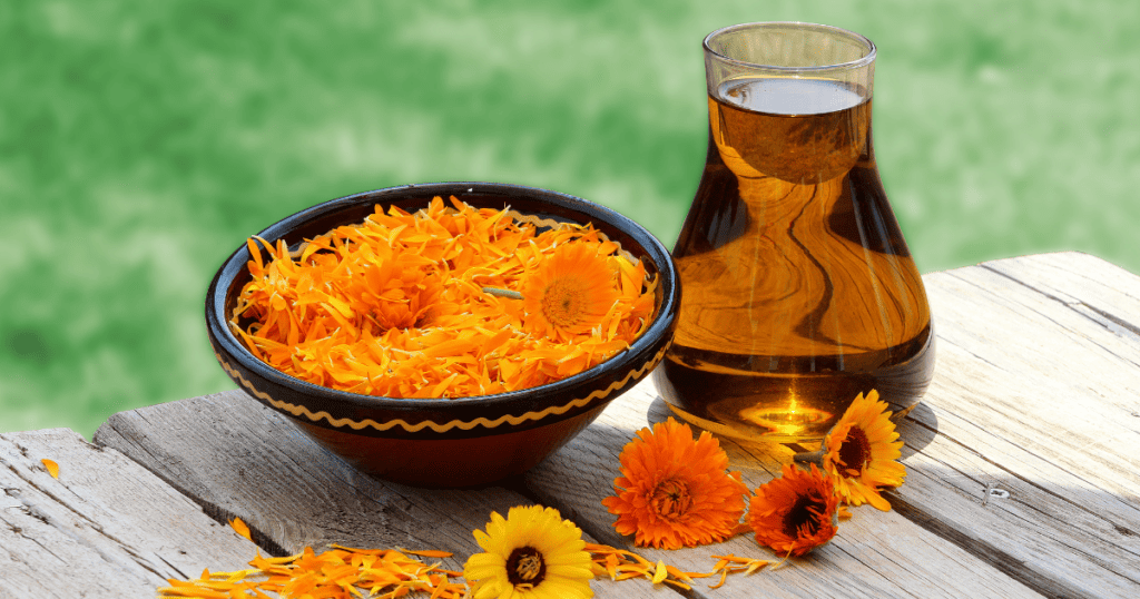 Calendula flower oil