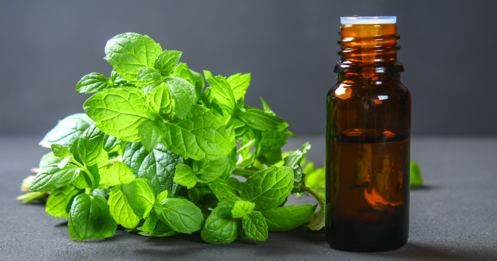 Peppermint oil is not recommended as an ingredient for lip products
