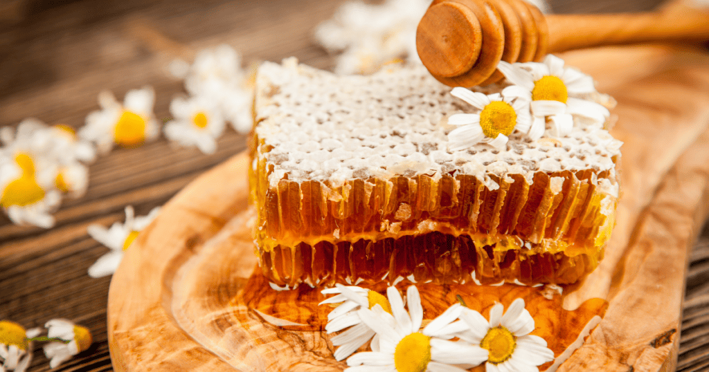 Honeycomb chunk and flowers