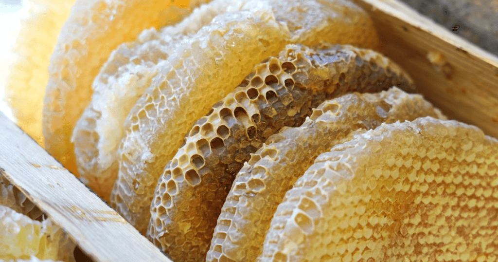 Raw honey comb